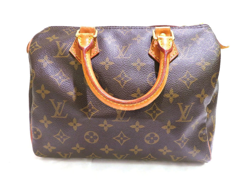 LOUIS VUITTON Speedy Monogram Handbag